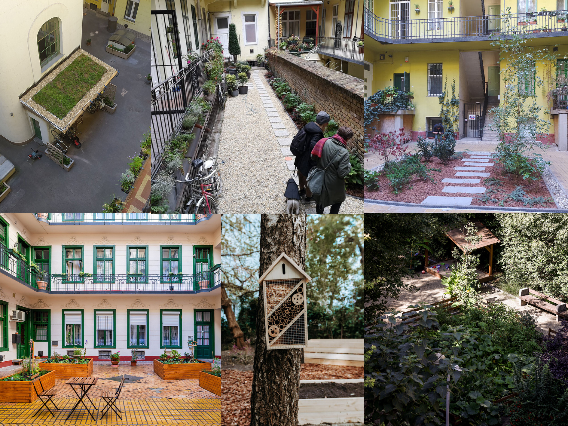 Call for applications for the greening of inner courtyards and